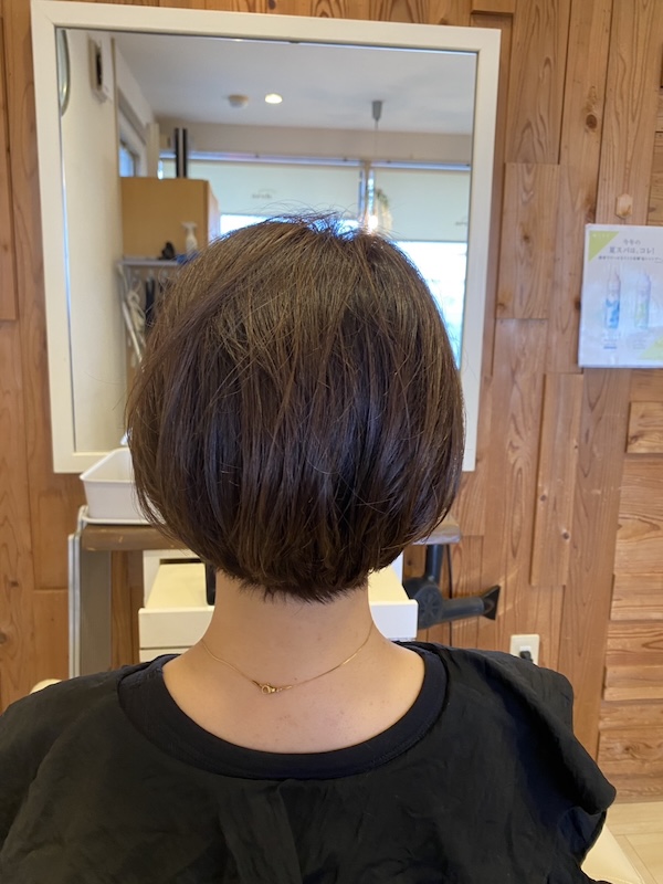 女性のヘアスタイル
