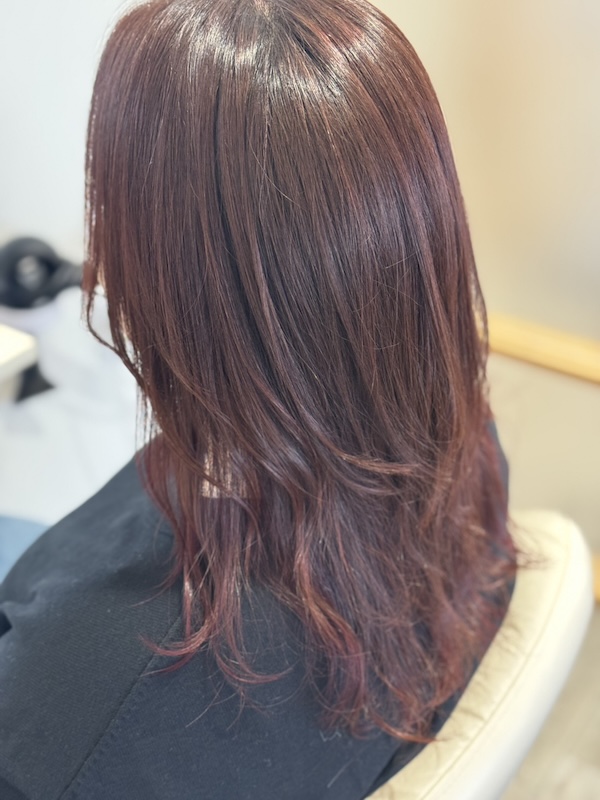 画像 コーラルカラー