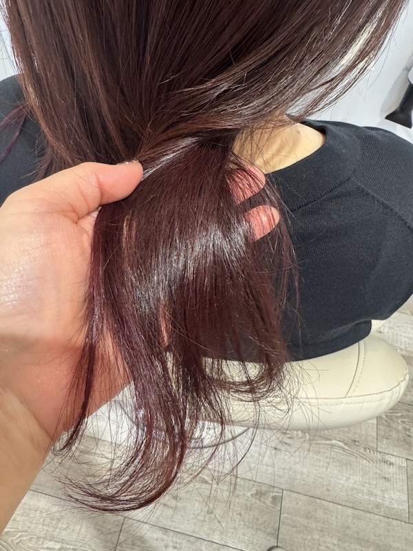 画像 コーラルカラー