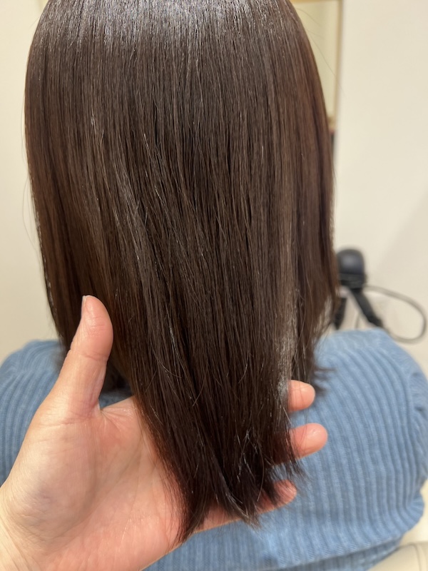 画像 チョコレート色カラー