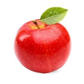 リンゴ幹細胞培養液エステ