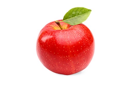 リンゴ幹細胞培養液エステ